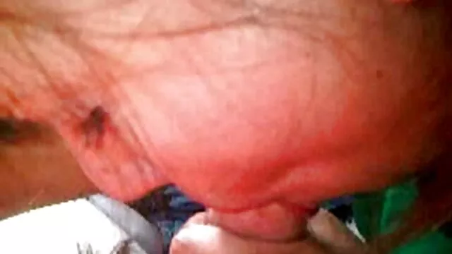 Pareja amateur lamiendo el coño antes de follar cine porno para adultos gratis