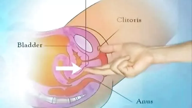 Trío de follada para la rubia que la película pornográfica gratis recibe una polla anal disecada