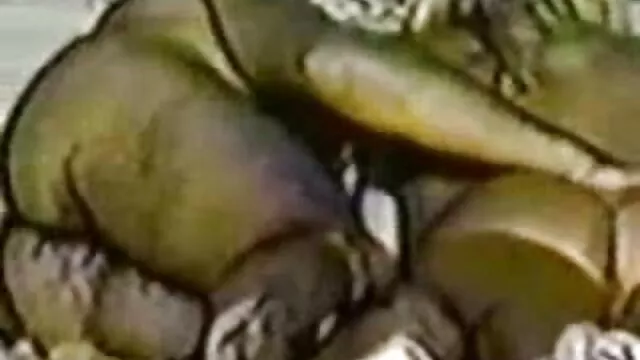 Pareja película pornográfica en vivo china autodisparador video part1