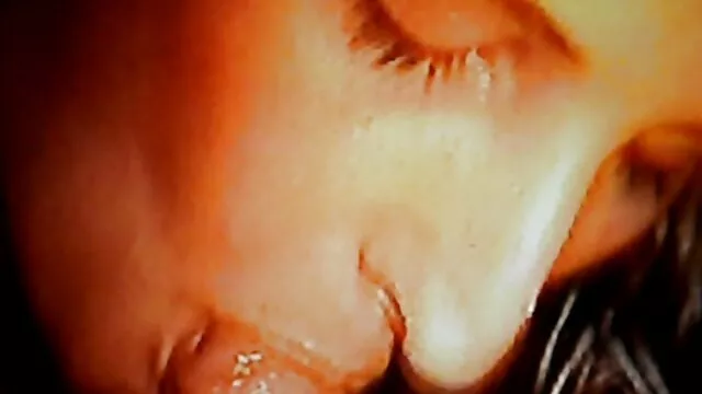 Elección pornografico xxx del vaso 288