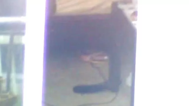 Video de mi esposa bbw y yo, madre de 3 hijos de 2013 porno sin tabu embarazada
