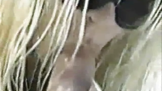 Pareja de película de pornográfica Túnez djerba